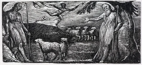 Thenot Remonstrates with Colinet, Lightfoot in the Distance, Illustration from Dr. Thornton